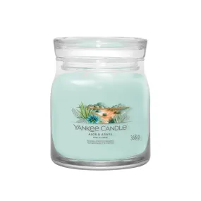 Aloe & Agave, candela giara media - Yankee Candle 